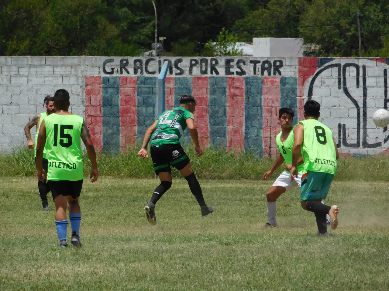 WhatsApp Image 2023-01-16 at 12.57.29 (3)