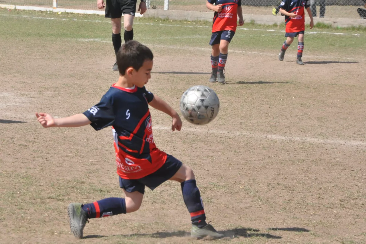 Centro Social Las Higueras Correos y Telecomunicaciones Deportivo Municipal Adela María (10)