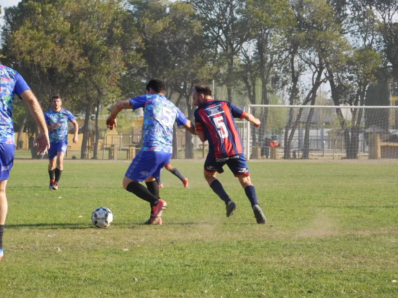 Profesionales Las Higueras (27)