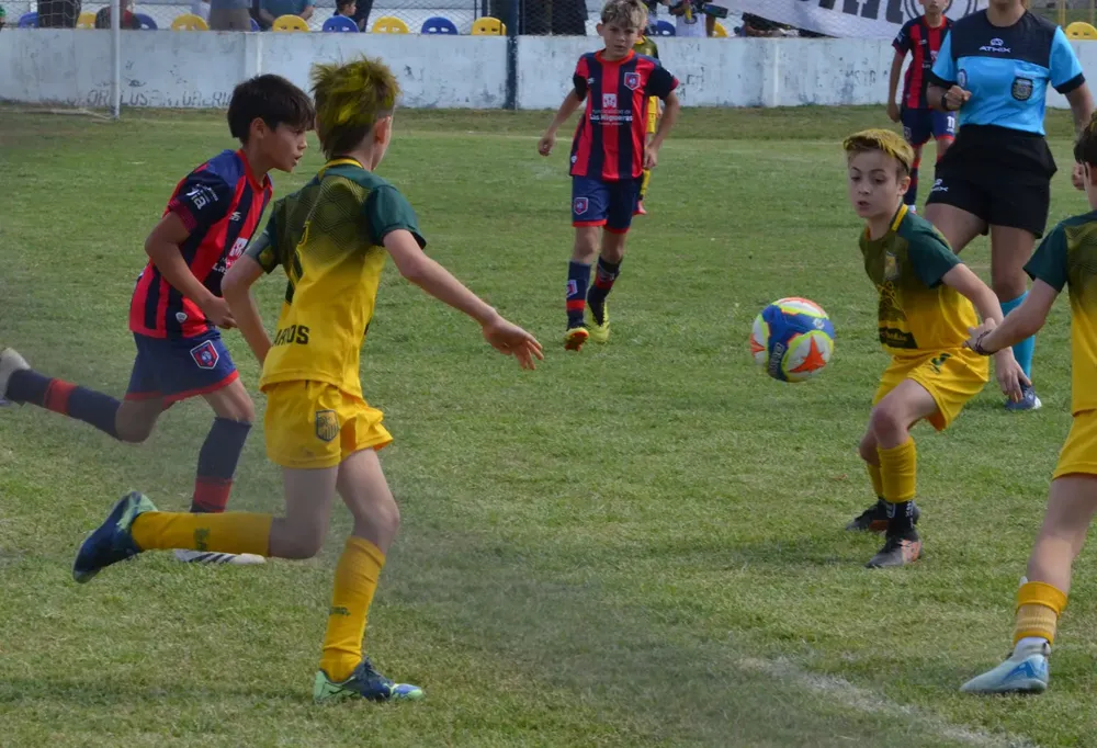 WhatsApp Image 2025-11-08 at 20.54.18 (6)