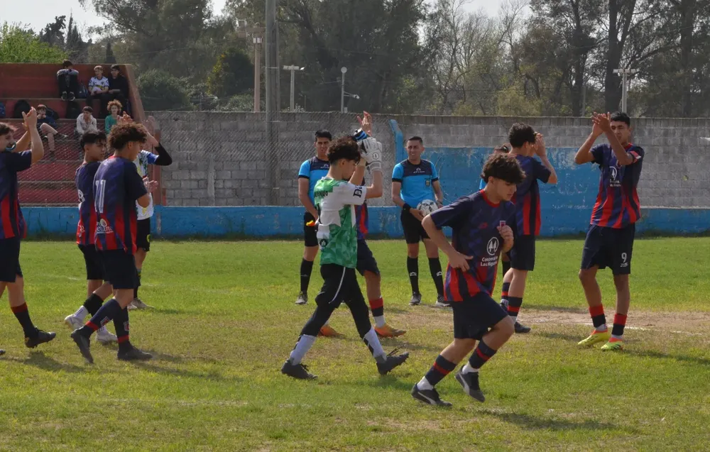 WhatsApp Image 2024-09-23 at 16.31.12