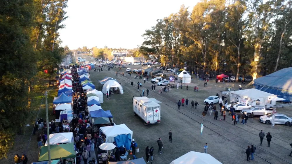 FESTIVALess