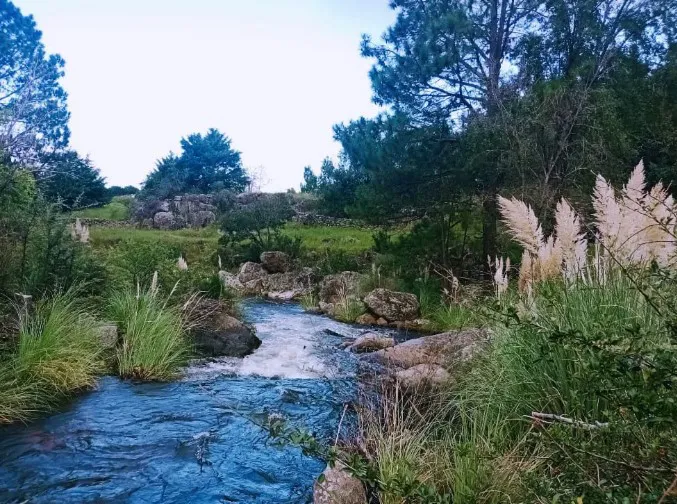 San Pedro 1