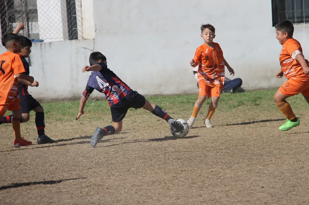 Centro Social Infanto Juvenil Renato Cesarini Olaeta Socialeritas (18)