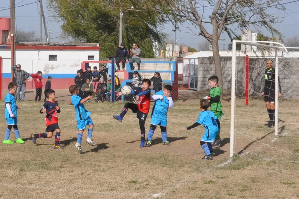 WhatsApp Image 2023-07-02 at 13.33.11 (8)