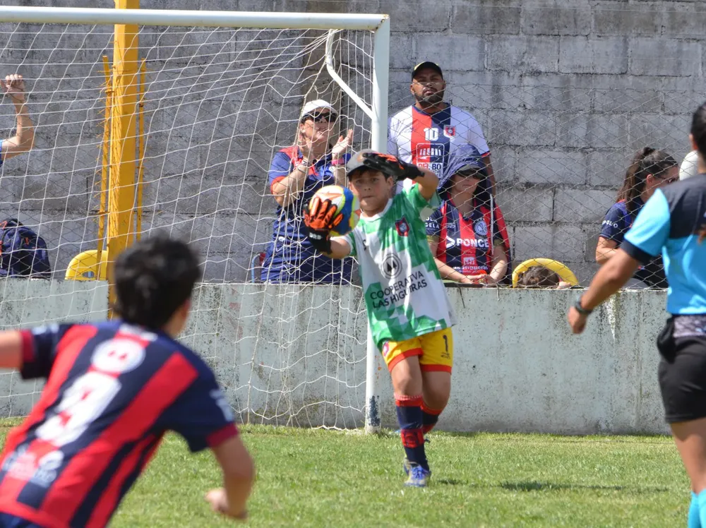 WhatsApp Image 2025-11-08 at 20.54.12 (8)