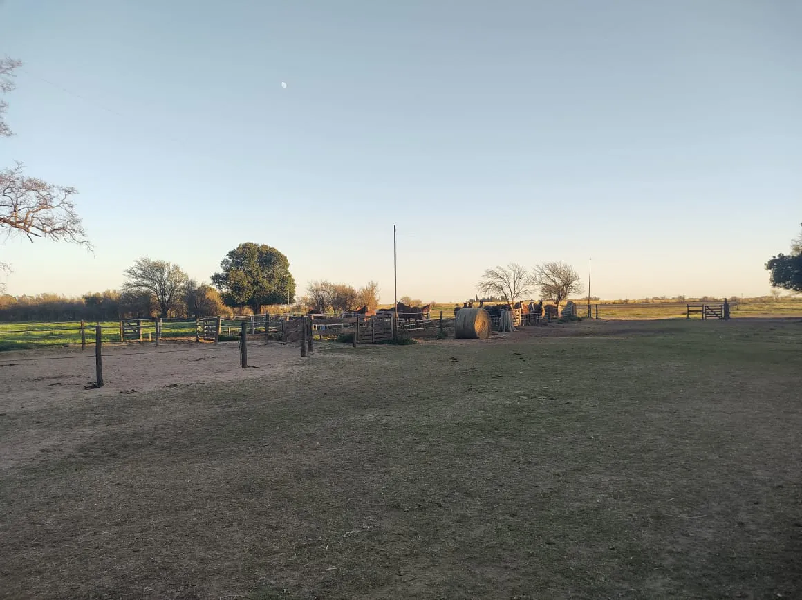 CAMPO