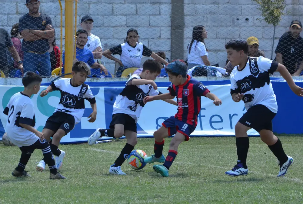 WhatsApp Image 2025-11-08 at 20.54.08 (4)