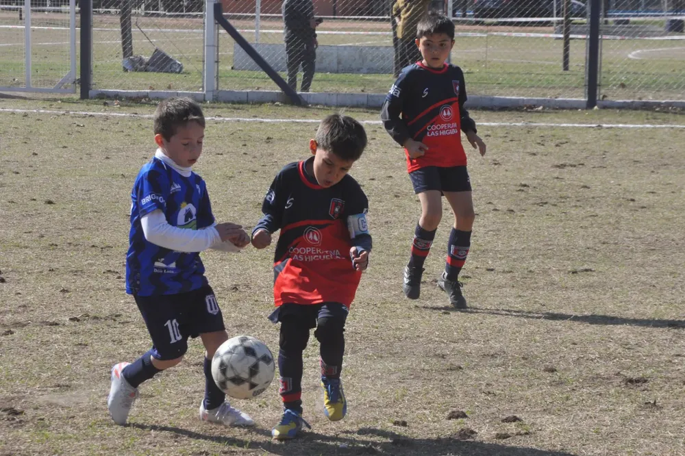 Centro Social Infanto Juvenil Renato Cesarini Olaeta Socialeritas (242)