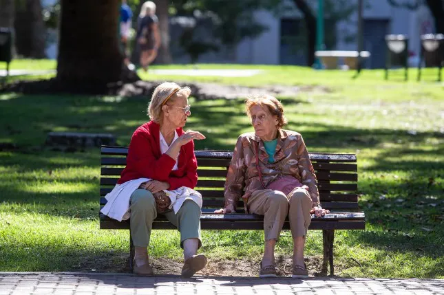 Captura de pantalla 2024-10-17 105054