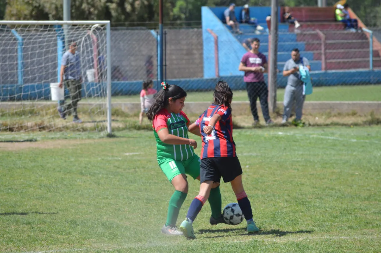 WhatsApp Image 2024-09-28 at 14.26.42