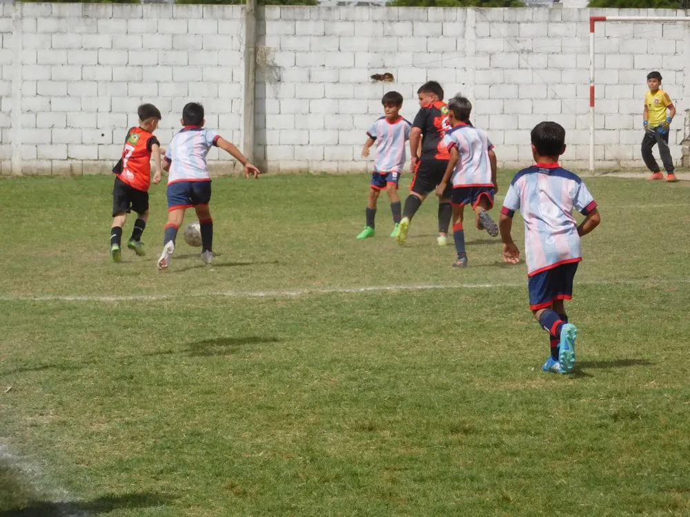 WhatsApp Image 2024-11-17 at 18.08.18 (22)