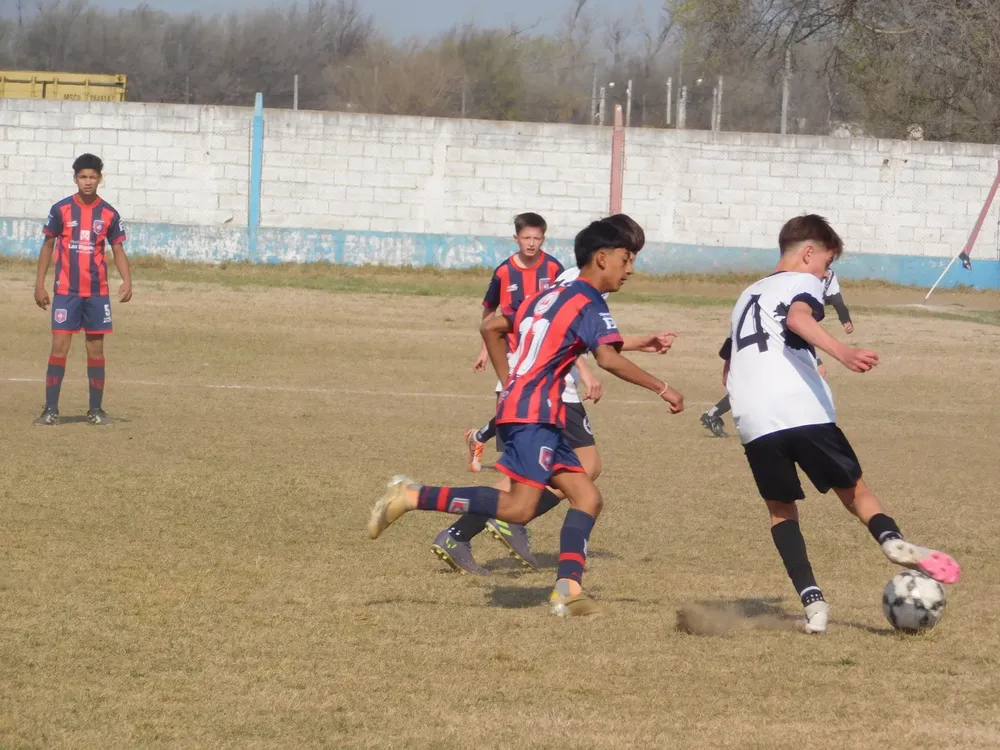 WhatsApp Image 2024-08-19 at 15.07.52 (8)