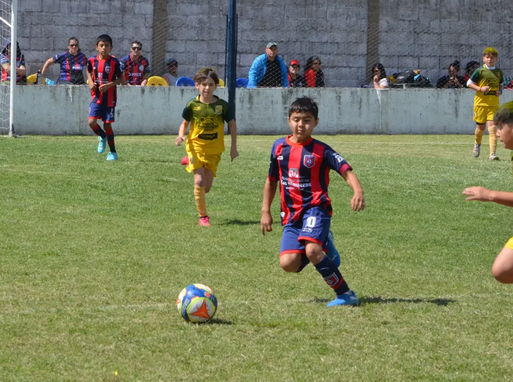 WhatsApp Image 2025-11-08 at 20.54.12 (4)