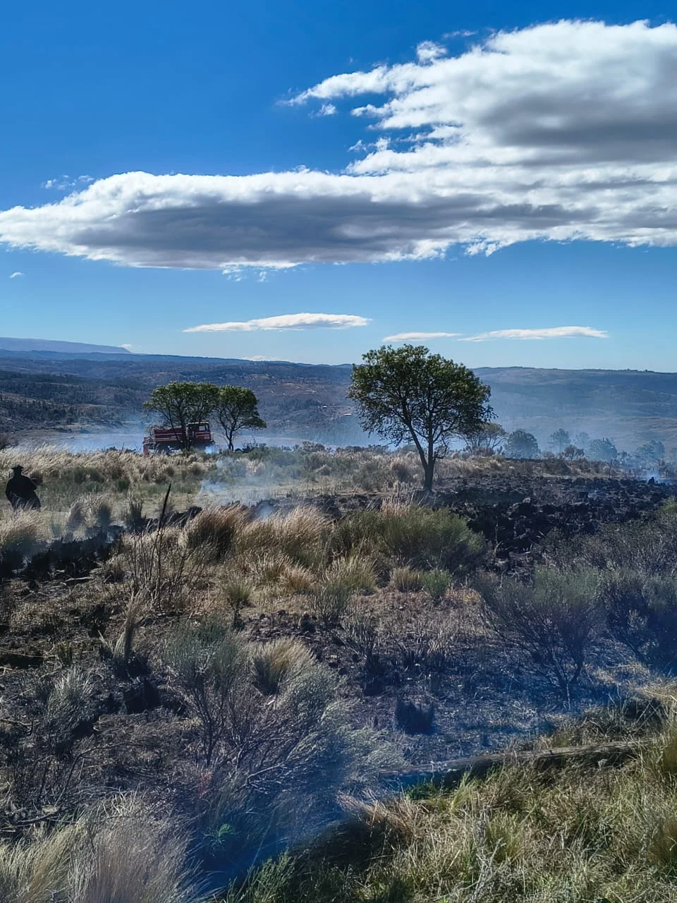 incendios forestales (2)