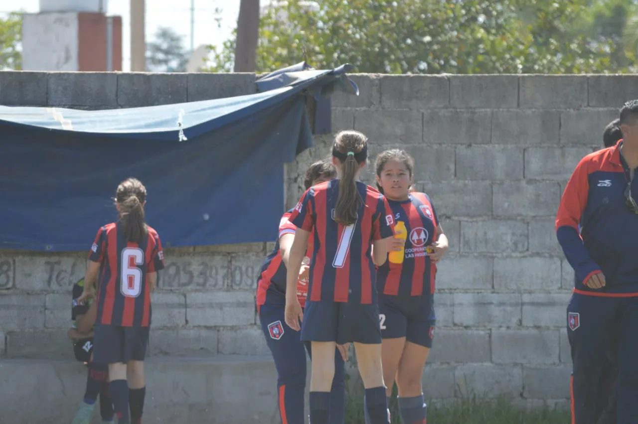 WhatsApp Image 2024-09-28 at 14.26.49