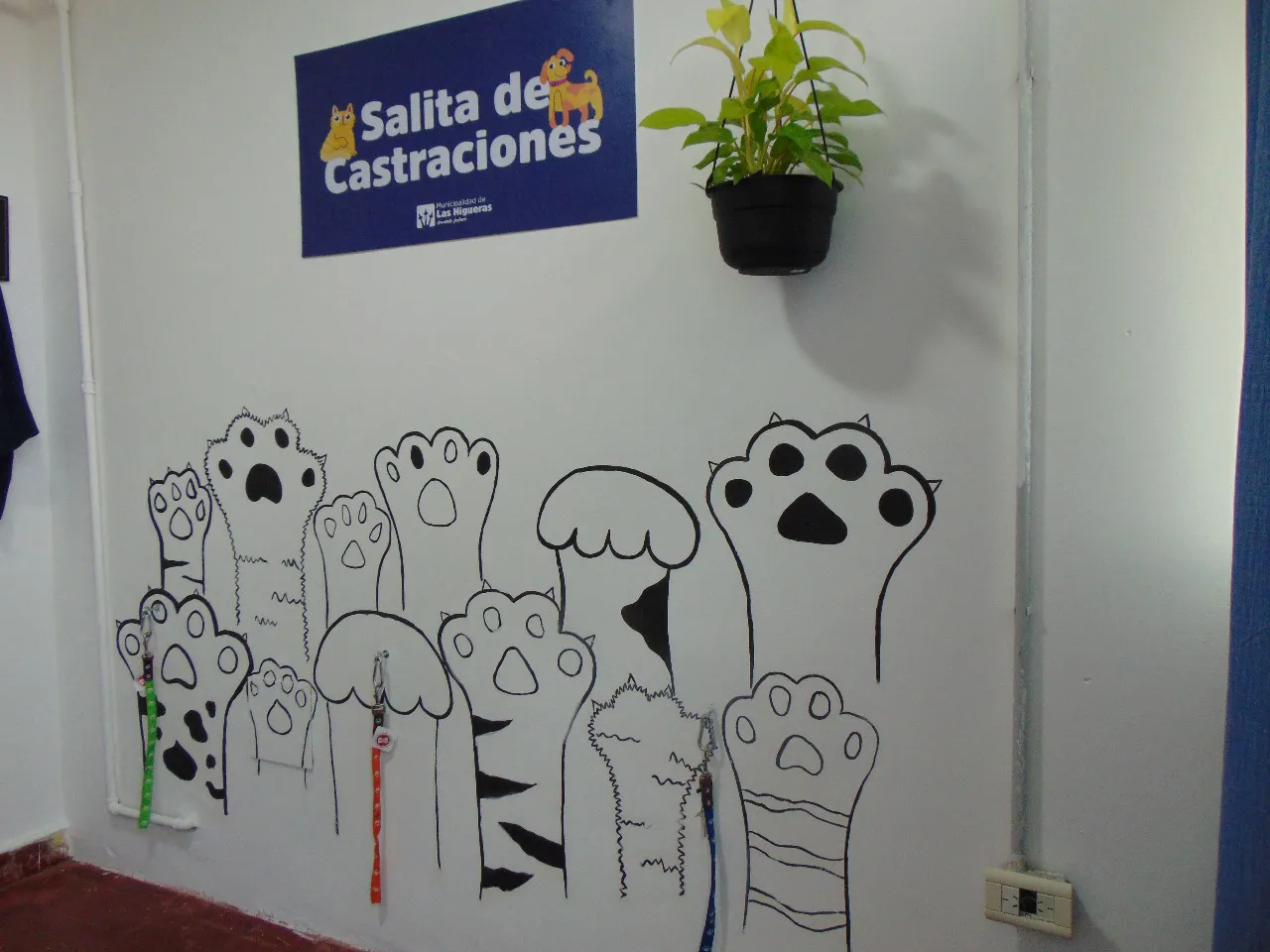 SALA