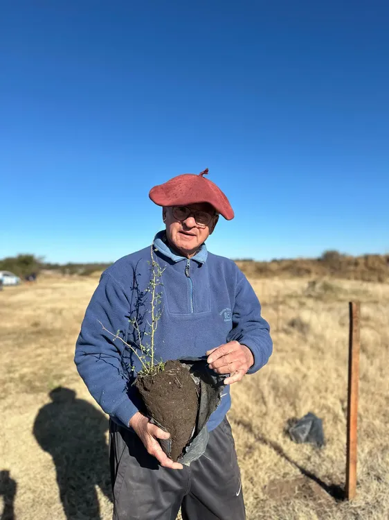 plantacion colectiva b