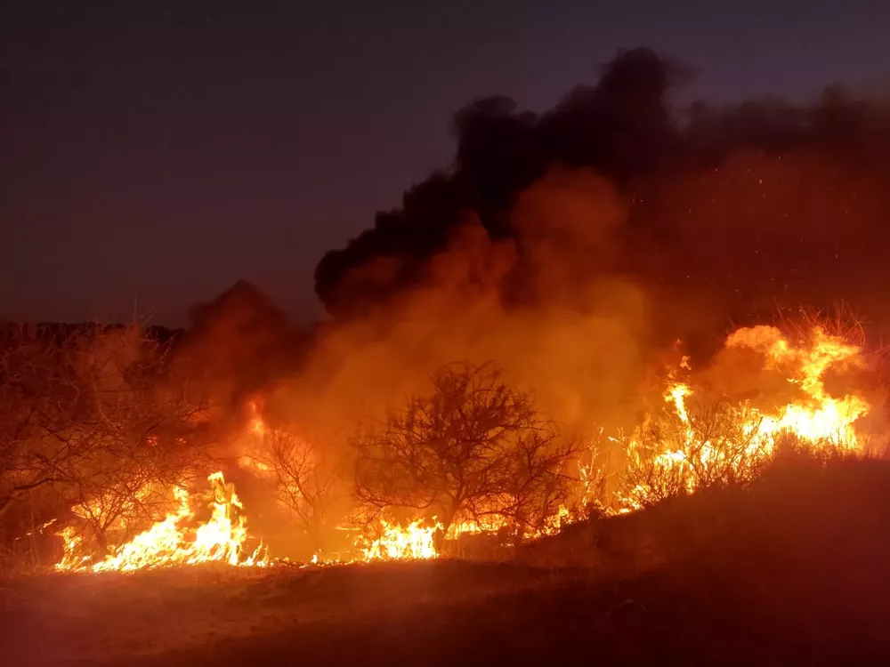 WhatsApp Image 2022-08-22 at 7.57.02 PM