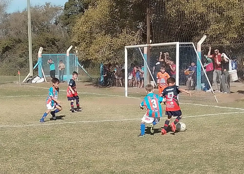 Infantiles Juveniles Centro Social San Lorenzo Bulnes Ateneo Vecinos Argentinso Jrs (158)