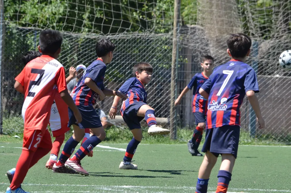 WhatsApp Image 2024-10-28 at 18.43.26 (7)