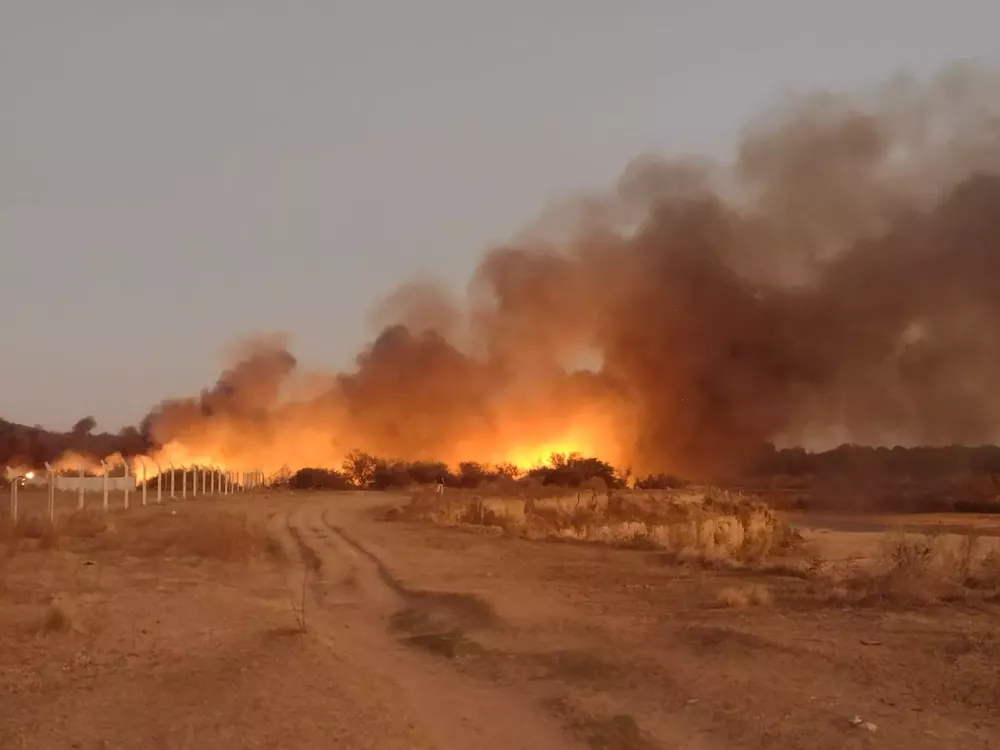 WhatsApp Image 2022-08-22 at 7.57.04 PM