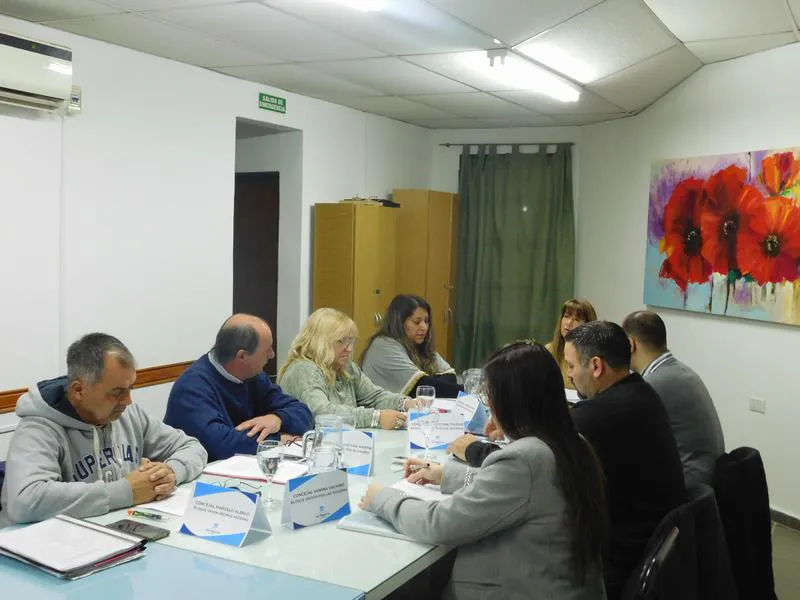 CONCEJO DELIBERANTE (13)