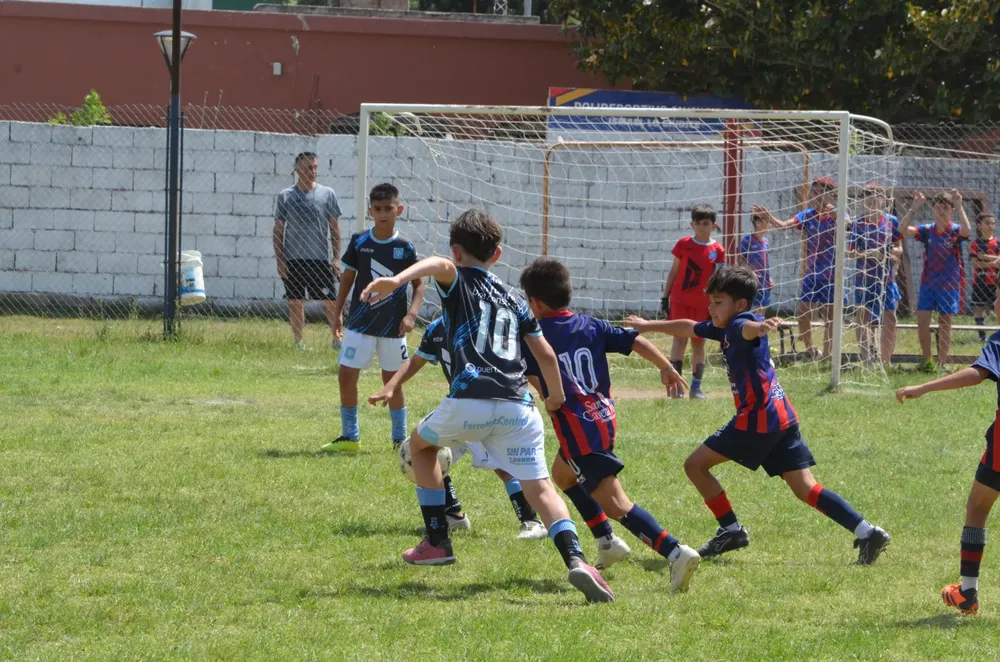 WhatsApp Image 2024-11-17 at 13.10.21 (2)