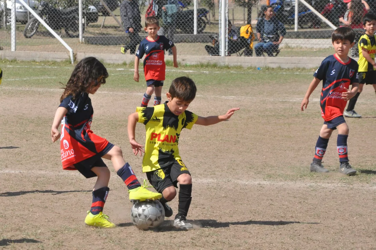 Centro Social Las Higueras Correos y Telecomunicaciones Deportivo Municipal Adela María (11)