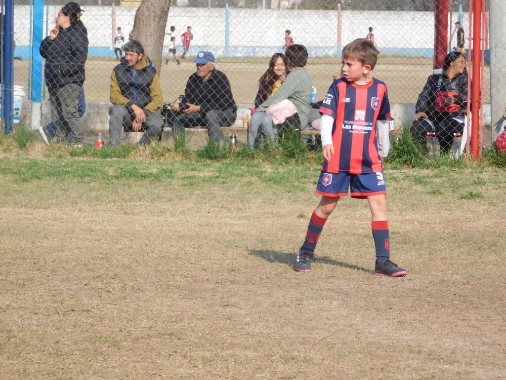 WhatsApp Image 2024-08-19 at 15.07.52 (24)