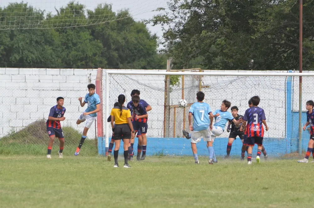 WhatsApp Image 2024-11-17 at 13.10.23 (1)