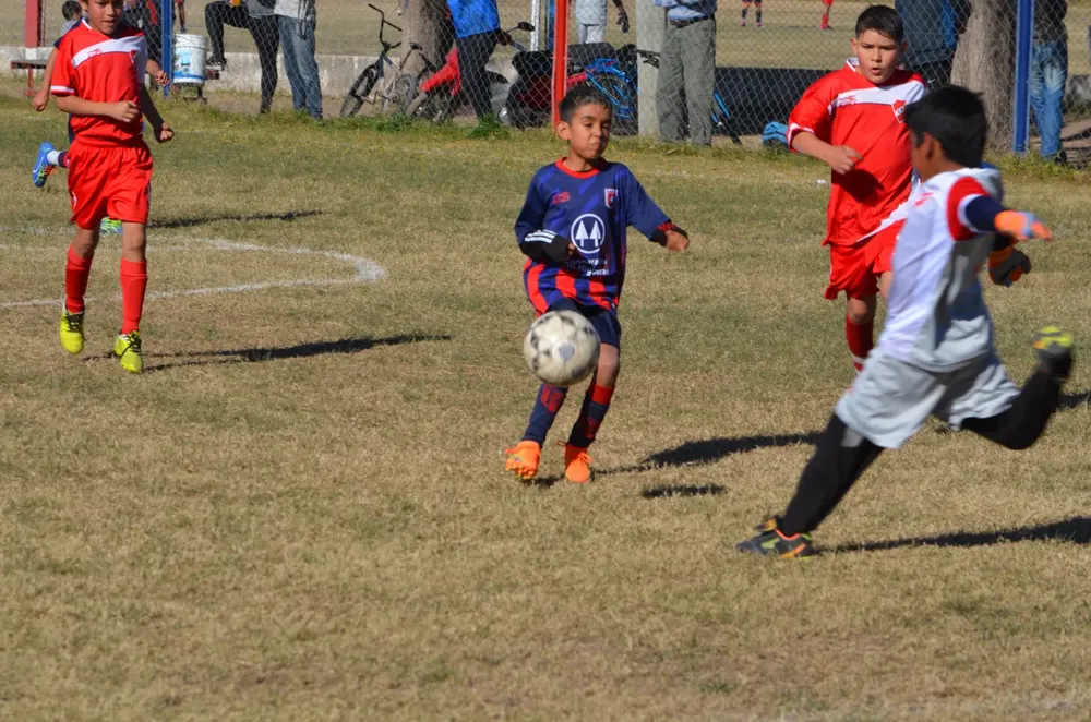Centro Social Sp Municipal Confraternidad Infanto Juvenil (52)