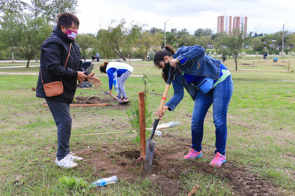 1000 nuevos arboles  (1)