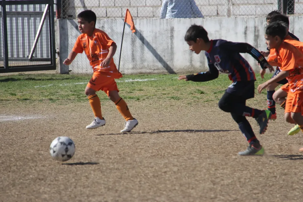 Centro Social Infanto Juvenil Renato Cesarini Olaeta Socialeritas (45)