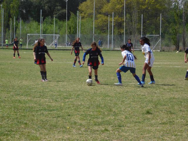 SOCIALERITAS 2 OCT (22)