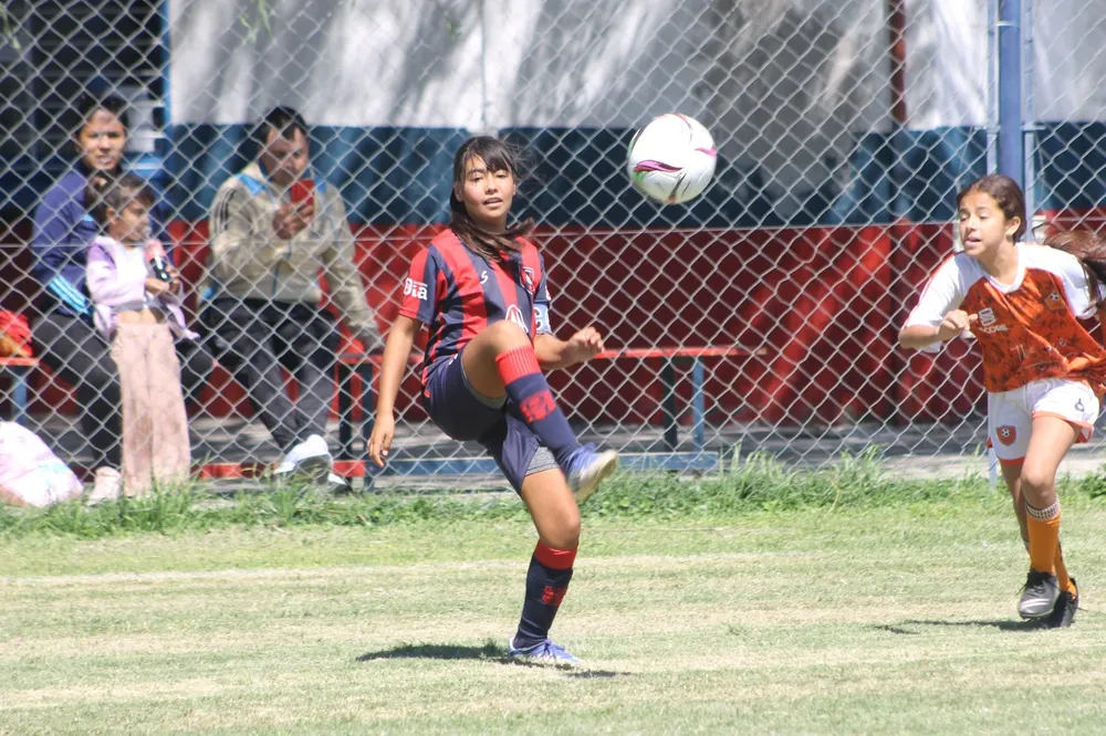 SOCIALERITAS (9)
