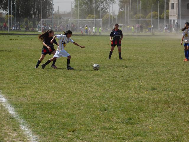 SOCIALERITAS 2 OCT (31)