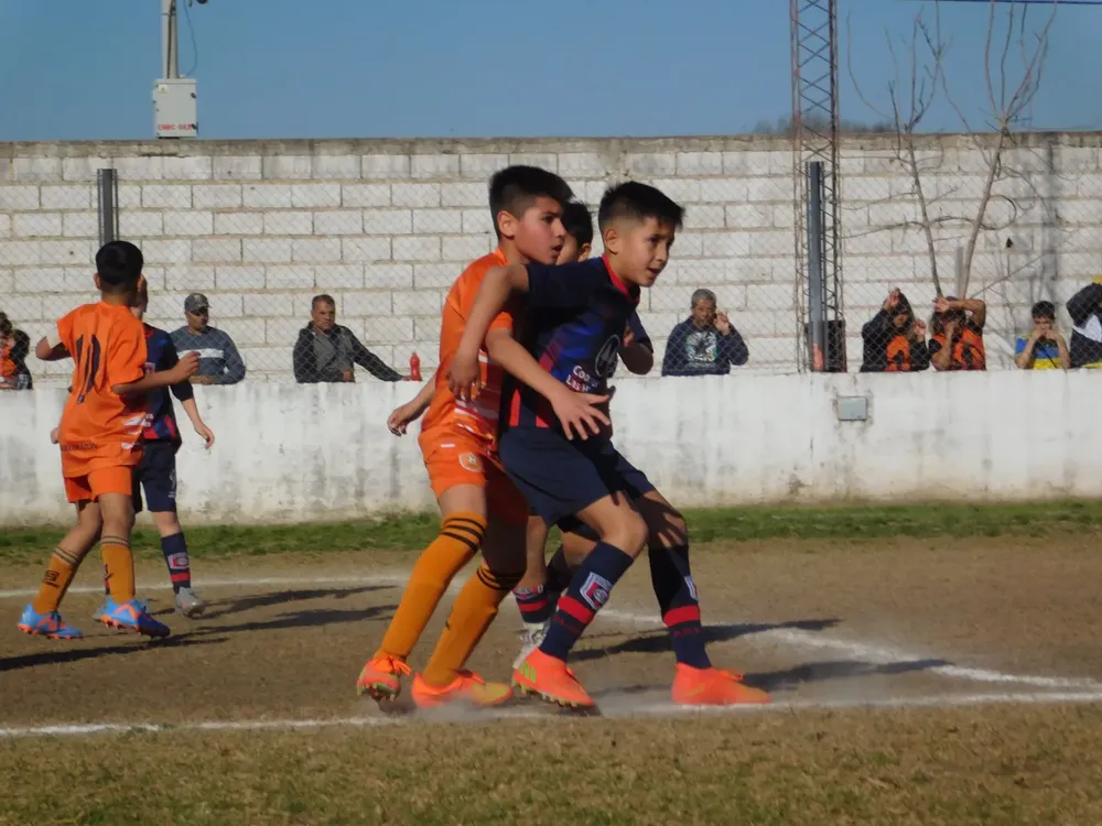Centro Social Infanto Juvenil Renato Cesarini Olaeta Socialeritas (197)