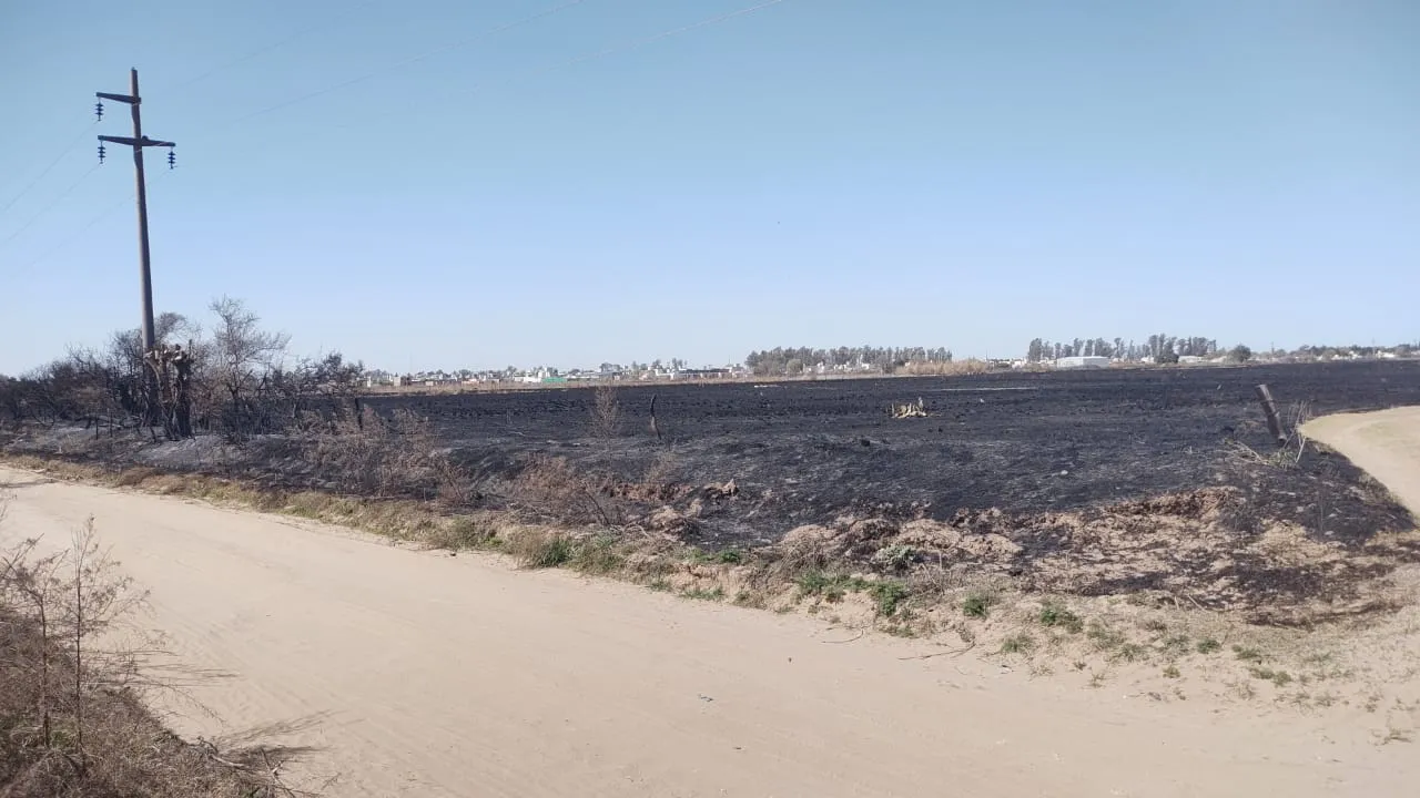 INCENDIO  (1)