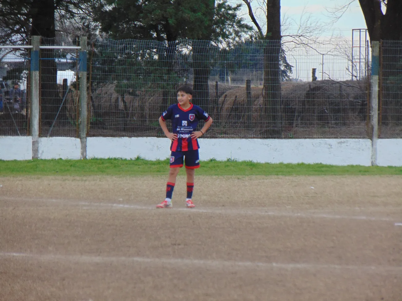 d72c89a6da4f4859bbc686d8e4d89324