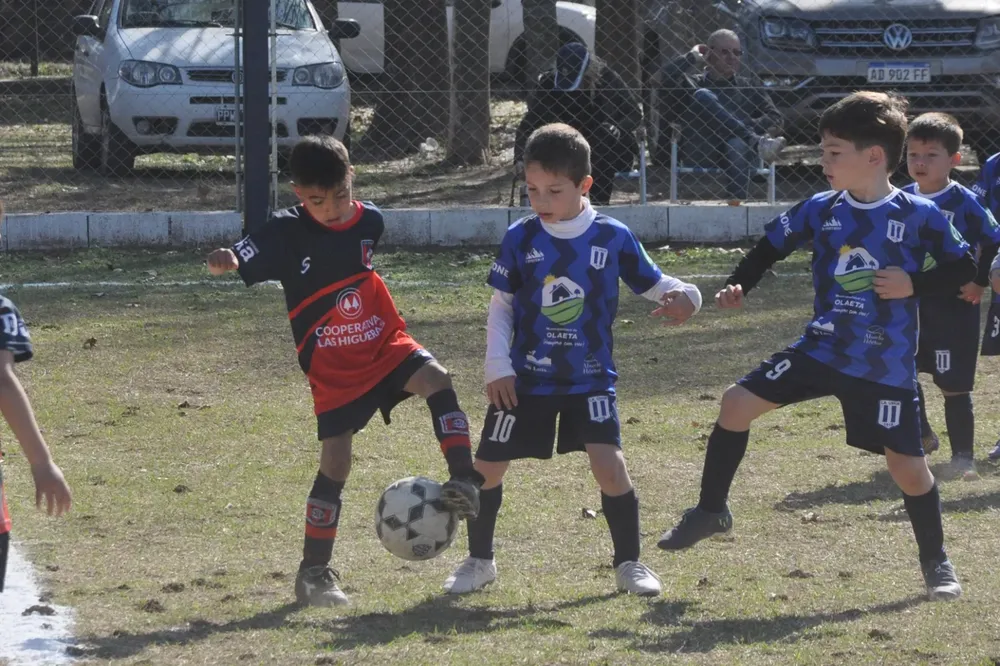Centro Social Infanto Juvenil Renato Cesarini Olaeta Socialeritas (239)