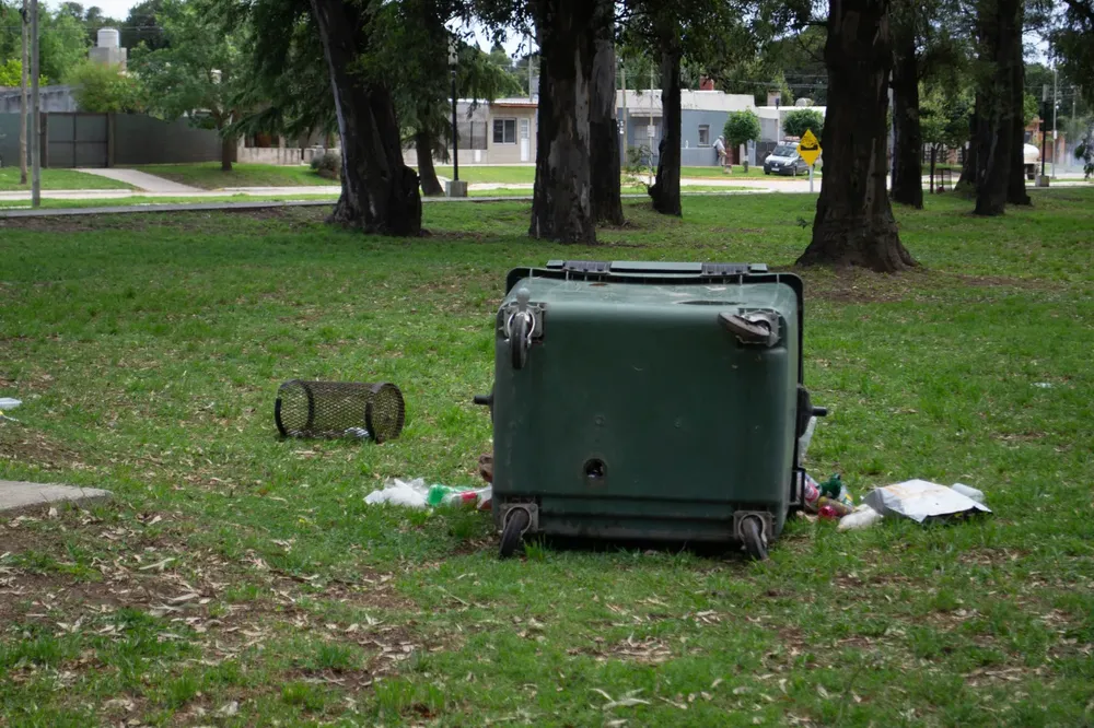 DAÑOS EN CESTOS (3)