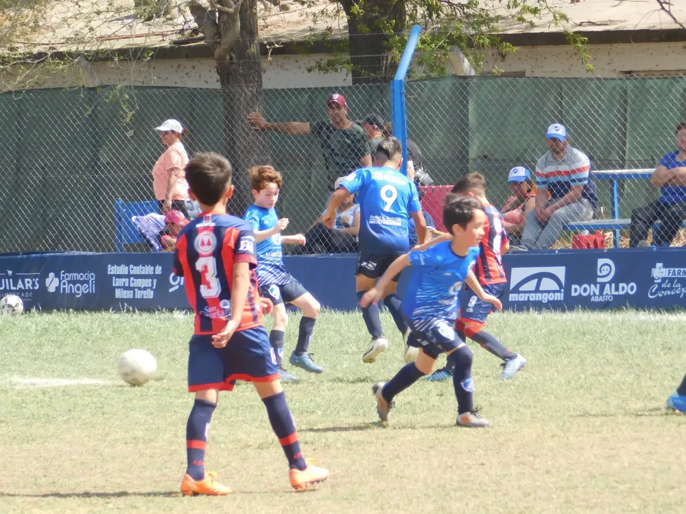 WhatsApp Image 2024-09-23 at 16.48.06 (6)