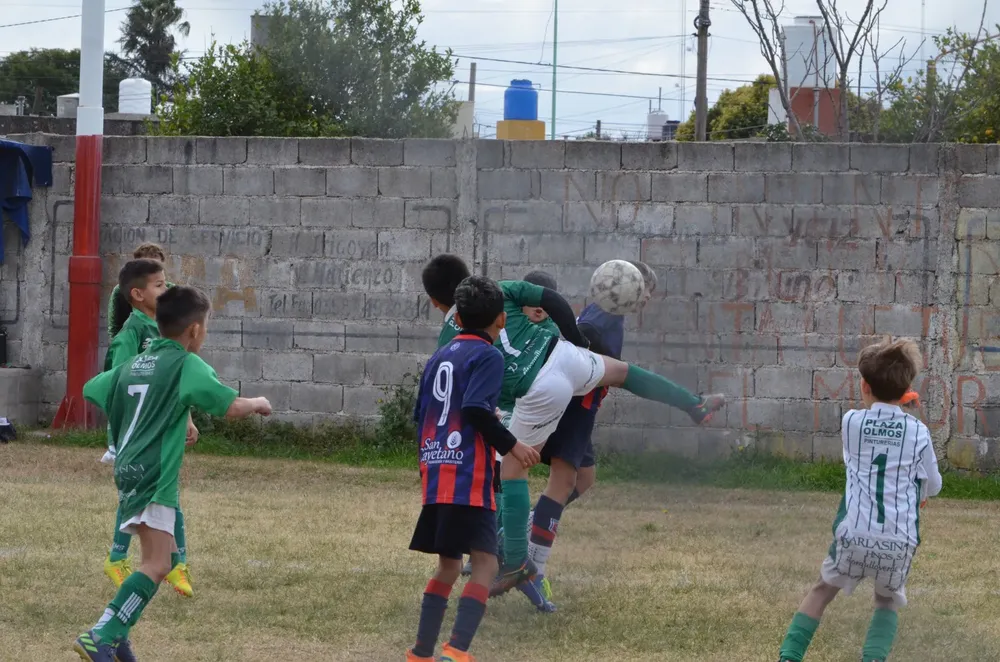 Centro Social Infanto Everton Banda Norte Socialeritas (22)