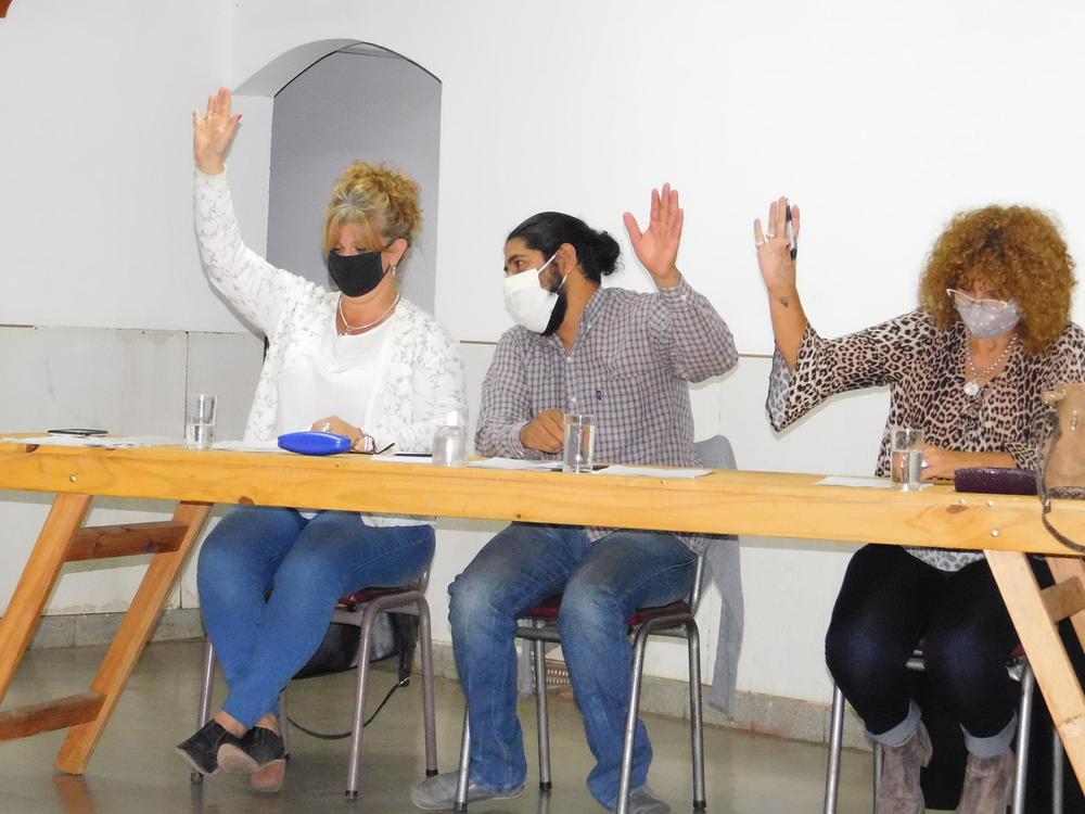 Concejo Deliberante Las Higueras (10)