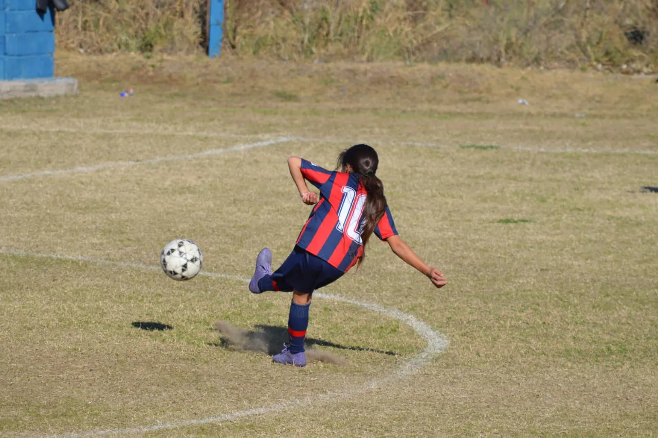 WhatsApp Image 2024-06-10 at 18.52.48