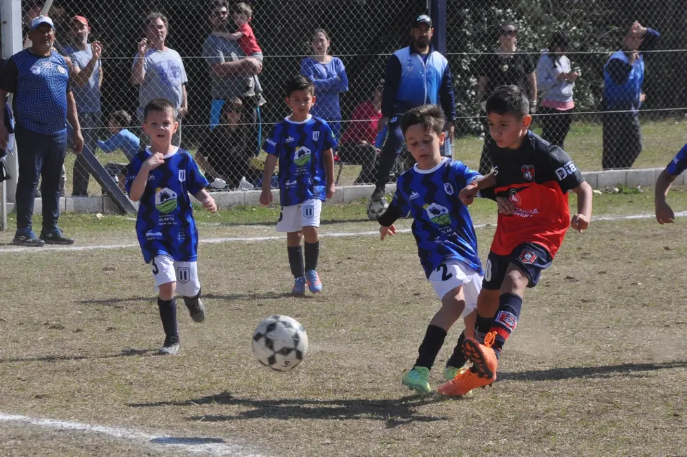 Centro Social Infanto Juvenil Renato Cesarini Olaeta Socialeritas (266)
