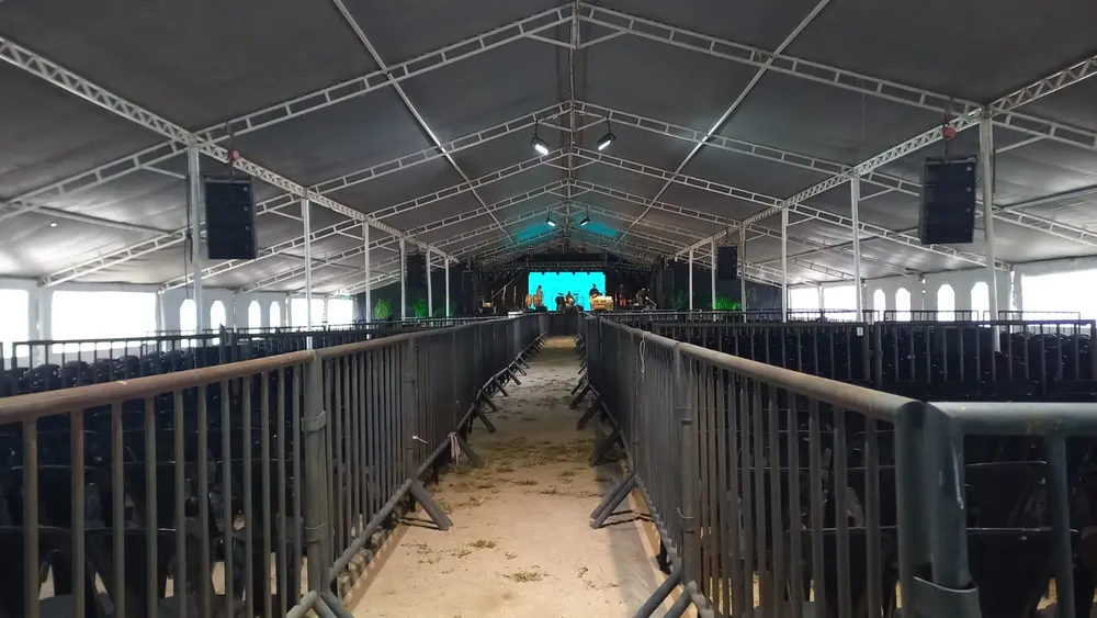 WhatsApp Image 2024-05-24 at 11.06.00