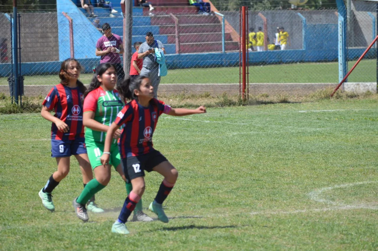 WhatsApp Image 2024-09-28 at 14.26.43