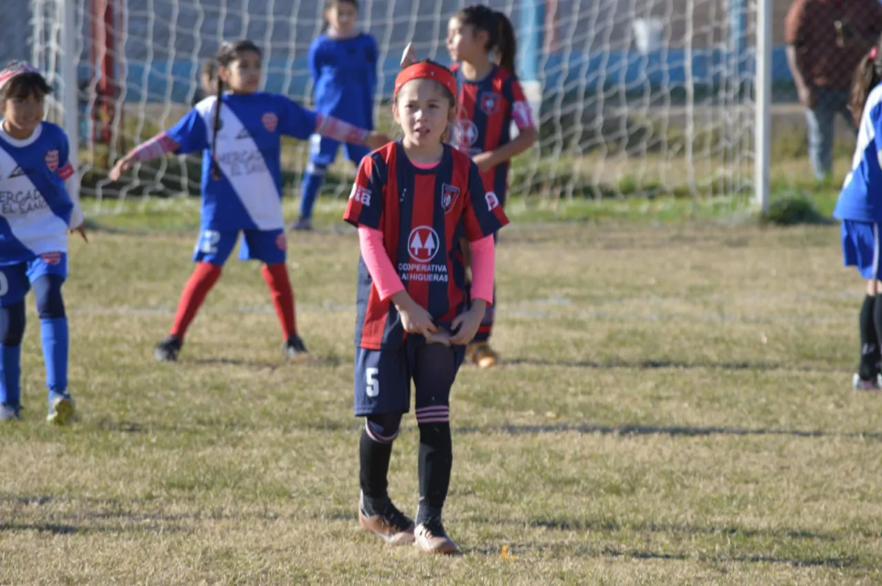 WhatsApp Image 2024-06-17 at 10.18.37 (1)